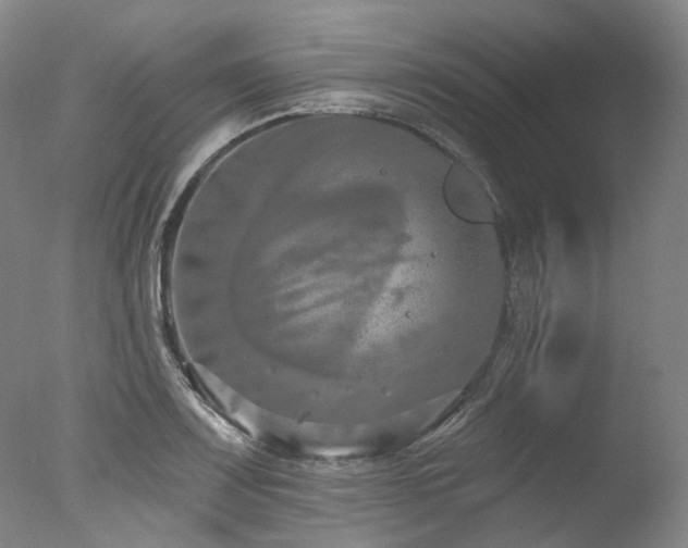 X0000077411083200610201455