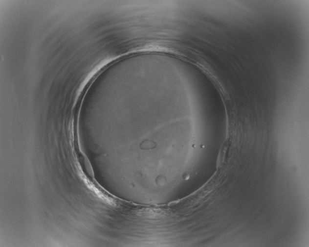X0000077411092200610201454