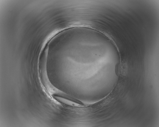 X0000077411096200610201454