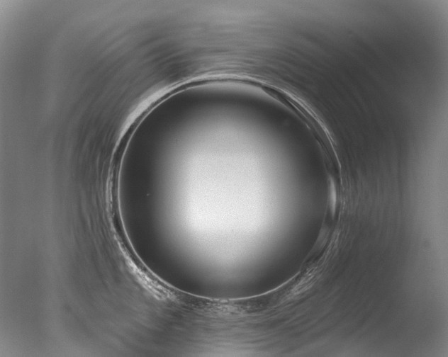 X0000077411101200610201454