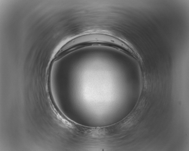X0000077411102200610201454