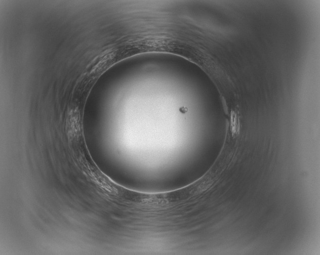 X0000077411107200610201453
