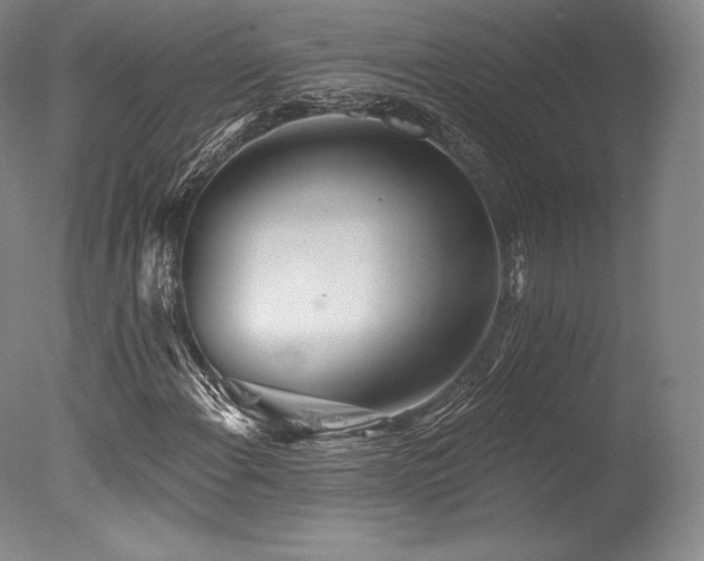 X0000077411108200610201453