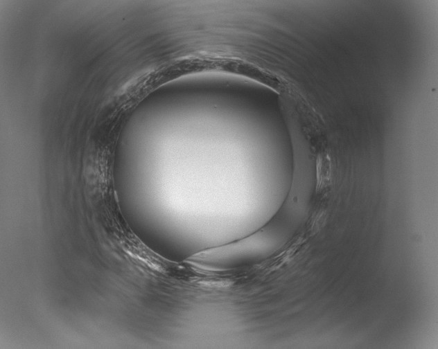 X0000077411110200610201453