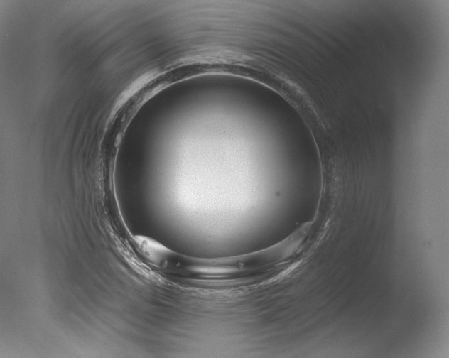 X0000077411114200610201454