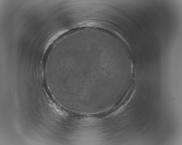 X0000077411117200610201454