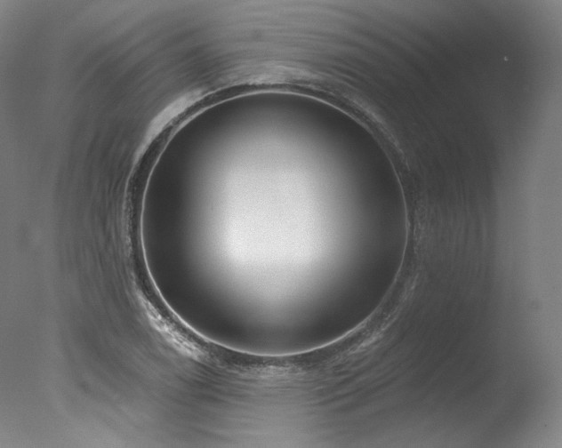 X0000077411122200610201454