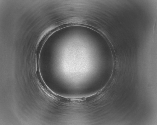 X0000077411123200610201454