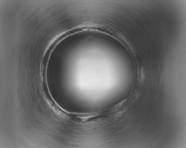 X0000077411124200610201454