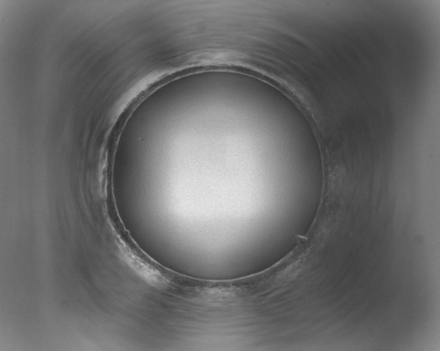 X0000077411126200610201454
