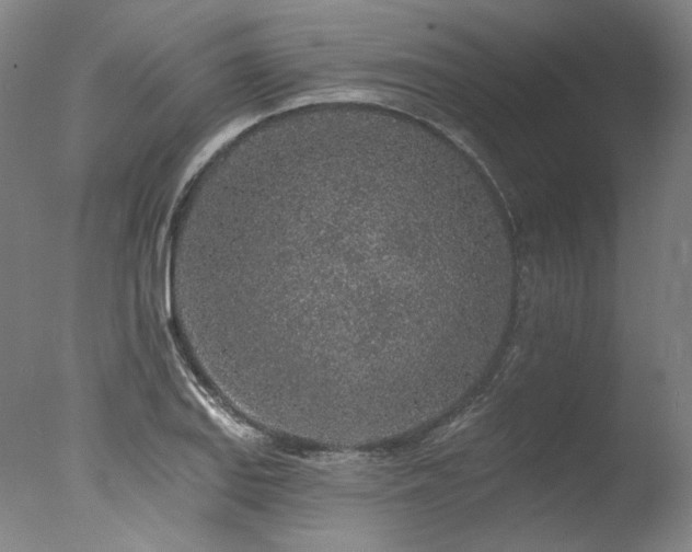 X0000077411127200610201454
