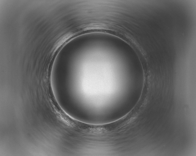 X0000077411129200610201454