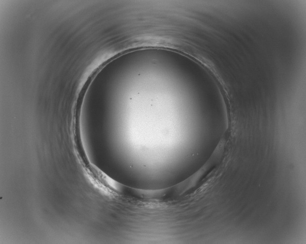 X0000077411136200610201454