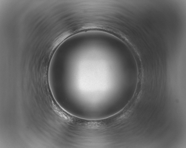 X0000077411137200610201454
