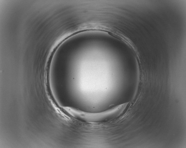 X0000077411144200610201454