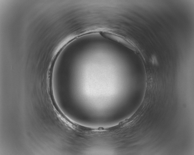 X0000077411151200610201454
