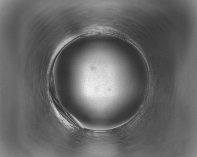X0000077411152200610201454