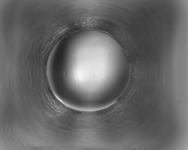 X0000077411153200610201453