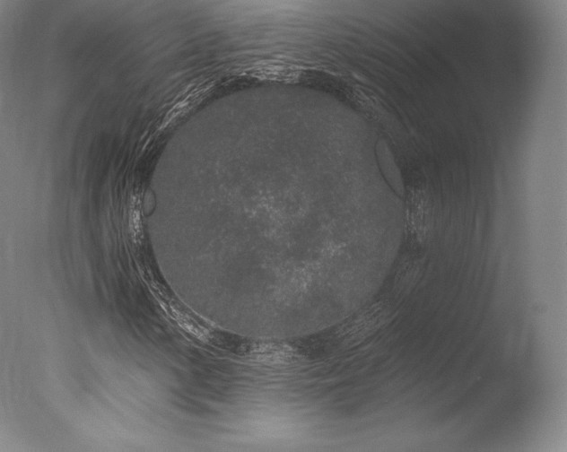 X0000077411154200610201453
