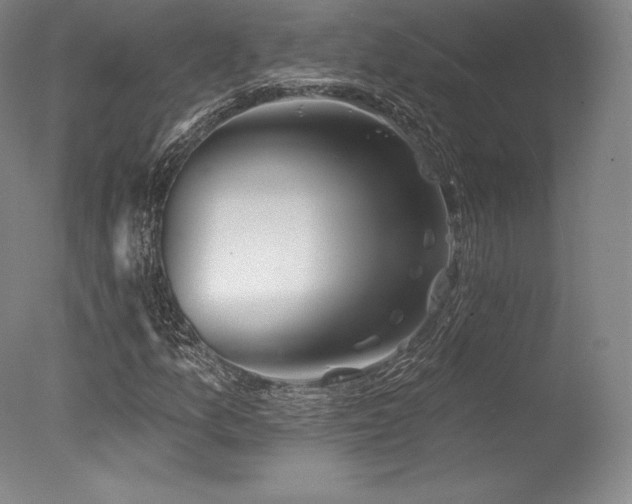 X0000077411157200610201453