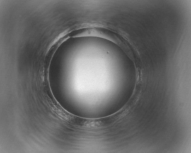 X0000077411165200610201453