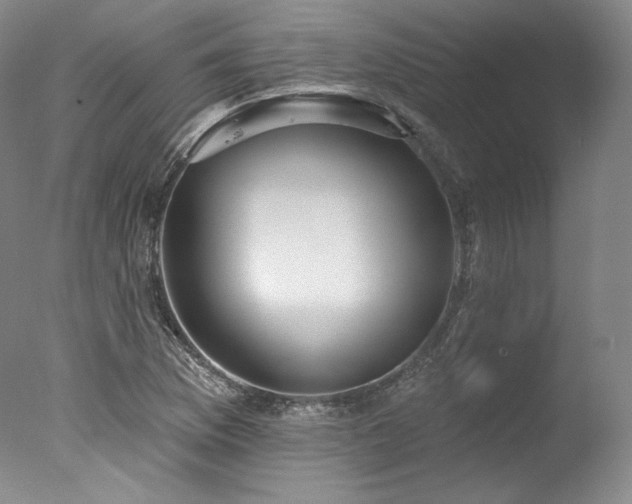 X0000077411169200610201453