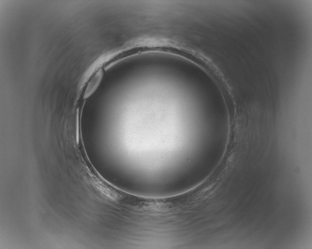 X0000077411175200610201453