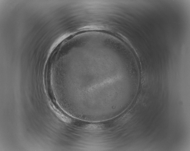 X0000077411179200610201453