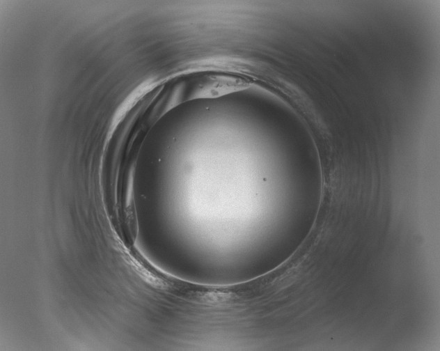 X0000077411180200610201453