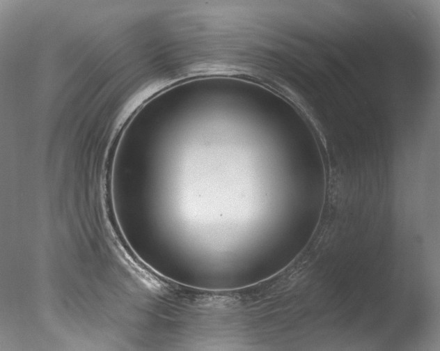 X0000077411187200610201453
