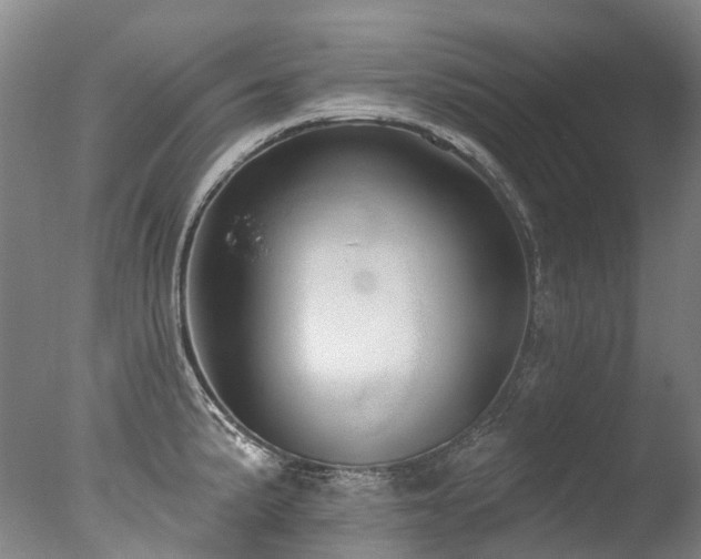 X0000077411191200610201453