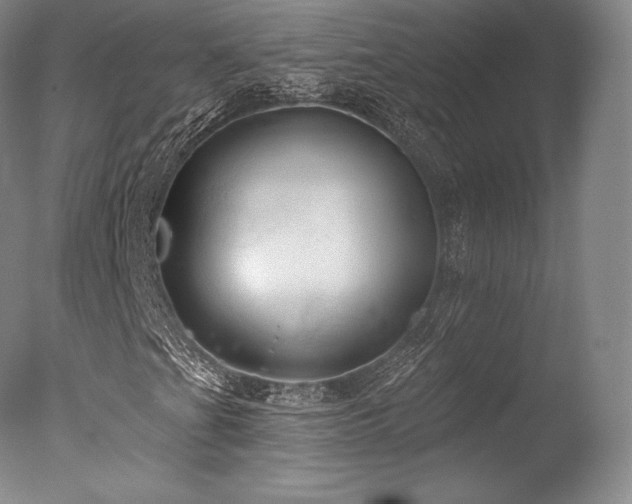 X0000077411201200610201452