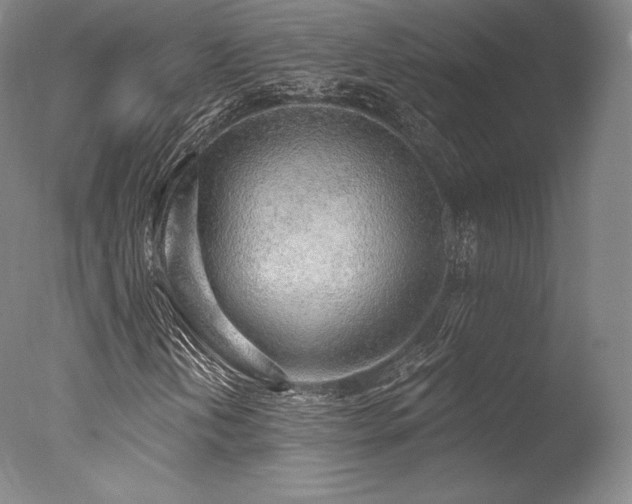 X0000077411202200610201452