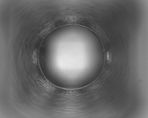 X0000077411203200610201452