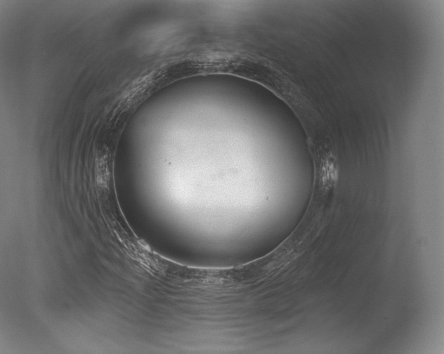 X0000077411204200610201452