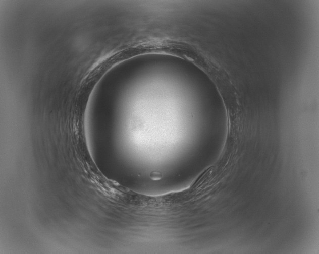 X0000077411206200610201452