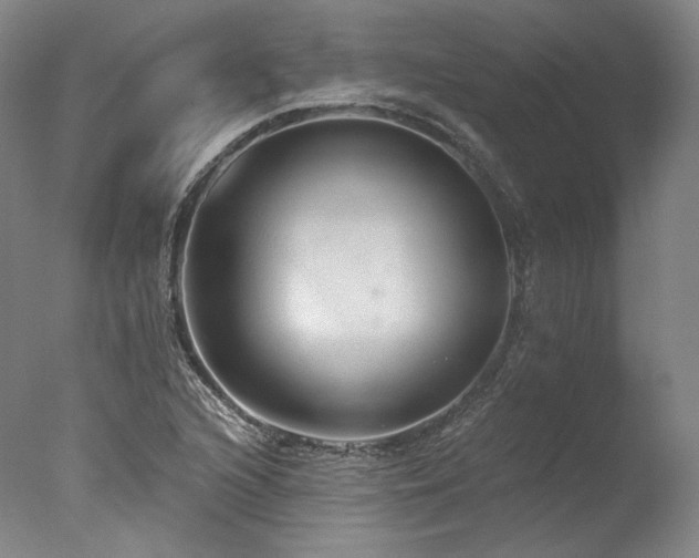 X0000077411216200610201452