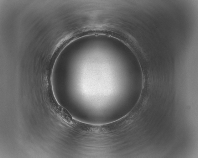 X0000077411218200610201452