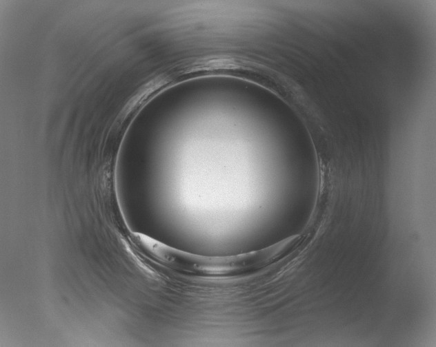 X0000077411225200610201452