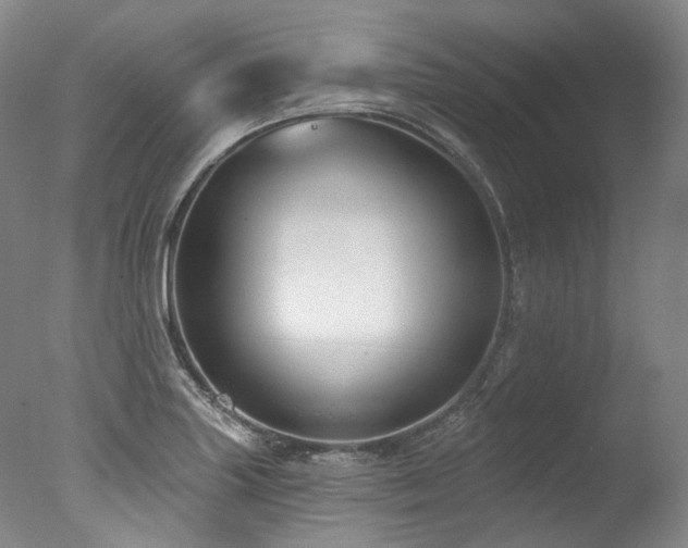 X0000077411227200610201452
