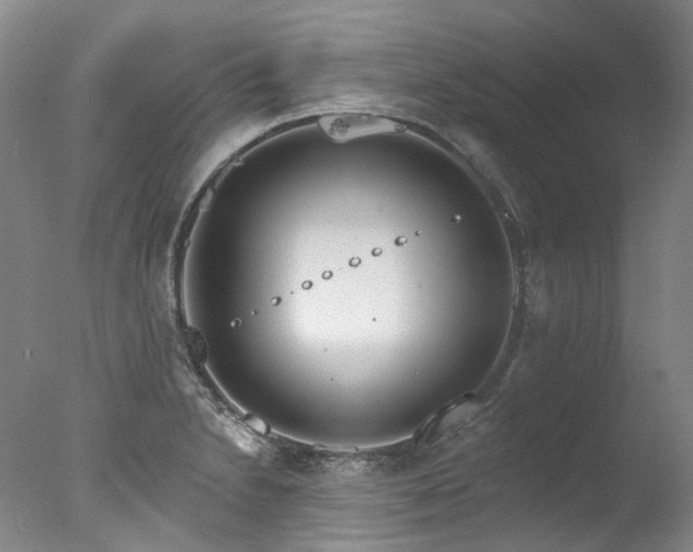 X0000077411230200610201452