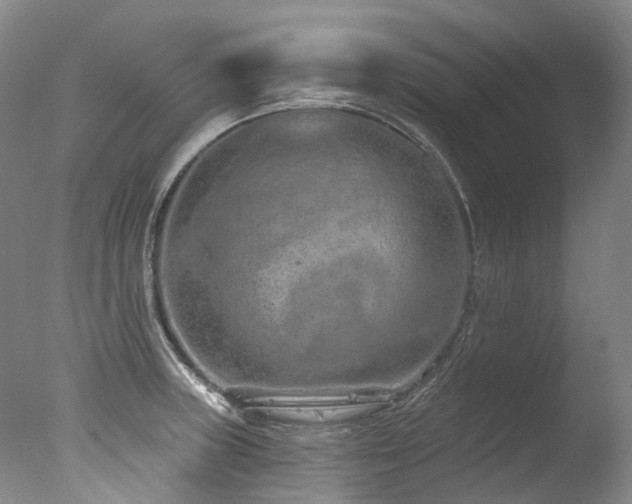 X0000077411235200610201452