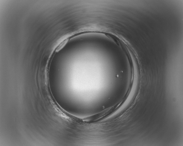 X0000077411238200610201452