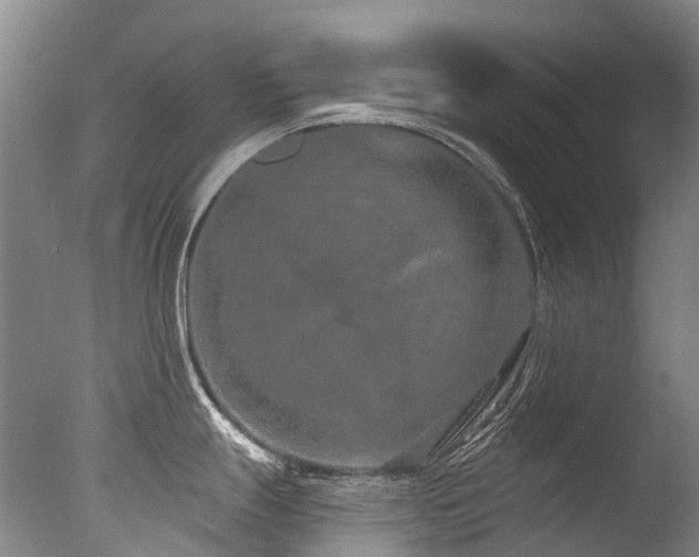 X0000077411247200610201453