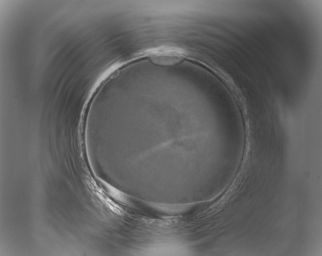 X0000077411248200610201453