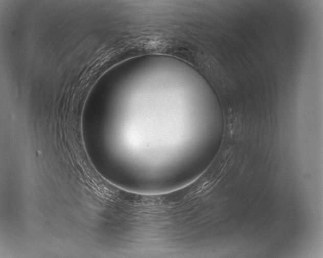 X0000077411249200610201452
