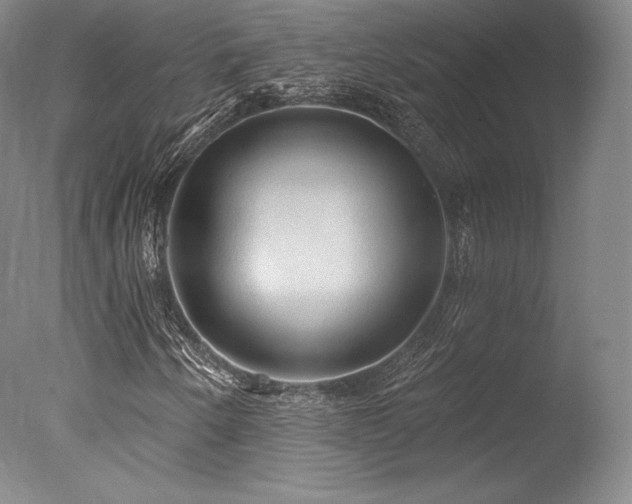 X0000077411250200610201452