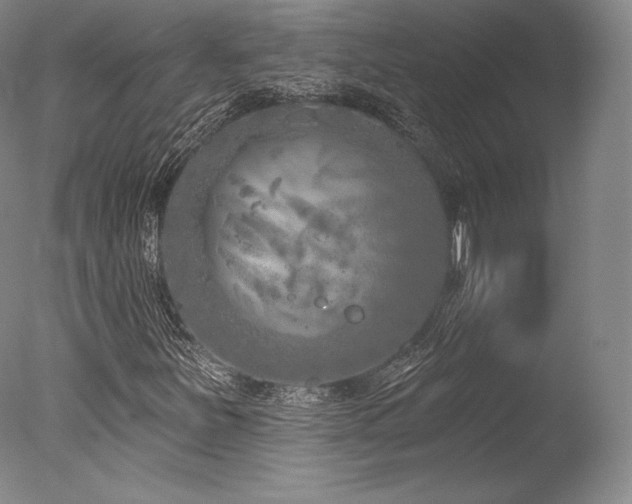 X0000077411251200610201452