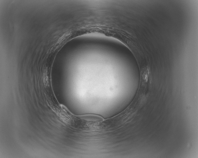 X0000077411252200610201452