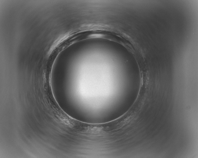 X0000077411261200610201452